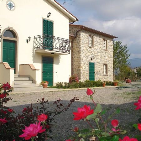 Le Casine Apartment Cortona Room photo